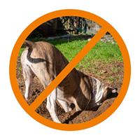 Gallagher Huisdier en Tuin kit 80cm M35 230V - 083091 - 083091 - thumbnail