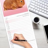 Rabbits Slim Calendar 2026 Cute Slimline Calendar - 12 Month - thumbnail