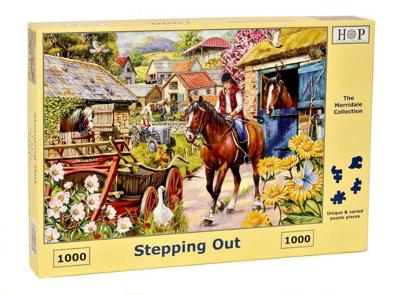 Stepping Out Puzzel 1000 stukjes