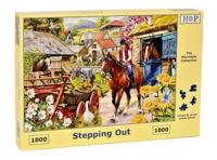 Stepping Out Puzzel 1000 stukjes - thumbnail