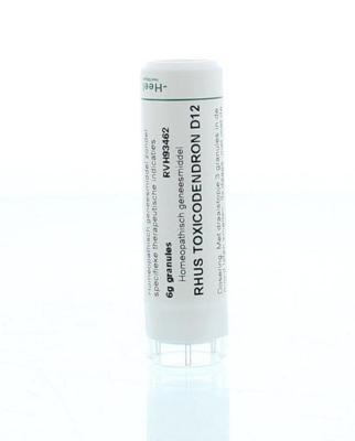 Rhus toxicodendron D12 6 Gram
