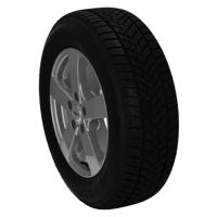 Winter Sport 5 XL - thumbnail