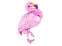 Folieballon Flamingo Pink (70x95cm) - thumbnail