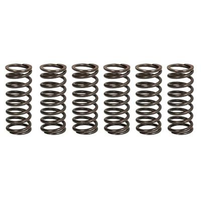 TRW koppelingsveren set clutch spring kit mef326-6