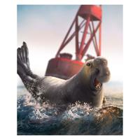Mojo sealife zeeolifant - 387208 - thumbnail