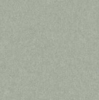 Dutch Wallcoverings Sauvage Uni - Grijs - thumbnail