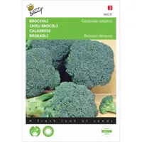 Broccoli Calabrese natalino, groen - thumbnail