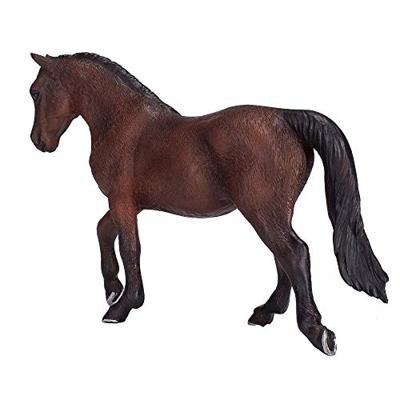 Mojo horse world morgan hengst bruin 381021