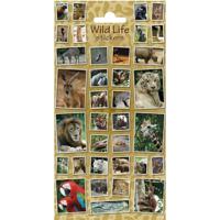 Stickers Wildlife - thumbnail