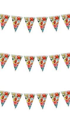 Tropische Vlaggenlijn Toekan Hawaii (300cm)