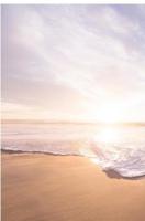 The book of secret truths - sayno nimbus - ebook - thumbnail