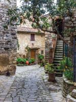 Steeg trap 50x70cm Tuinschilderij Customize-it - Customize it - thumbnail