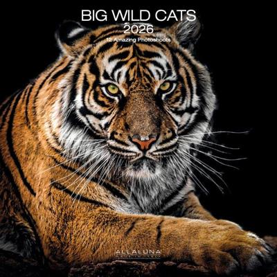 Wilde Katten Kalender 2026