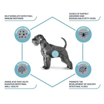 ADVANCE VETERINARY DIET DOG GASTROENTRIC SPIJSVERTERING - thumbnail