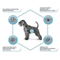 Advance veterinary diet dog gastroentric spijsvertering - thumbnail