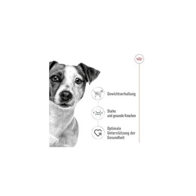 ROYAL CANIN Mini Adult - nat hondenvoer - 12 x 85g - thumbnail