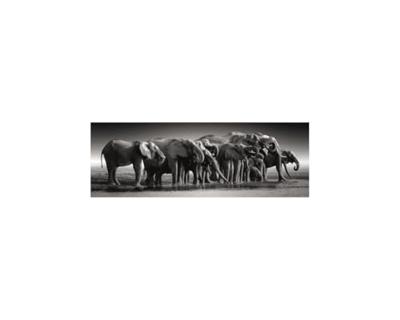 Clementoni legpuzzel herd of giants, 1000st. Clementoni legpuzzel herd of giants, 1000st.