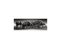 Clementoni legpuzzel herd of giants, 1000st. - thumbnail
