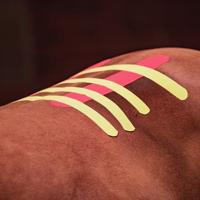 VETKIN Medical Taping Concept Kinesiology Taping voor paarden | Pijnverlichting en revalidatie bij paarden | Uitgebreid boek voor professionals - thumbnail