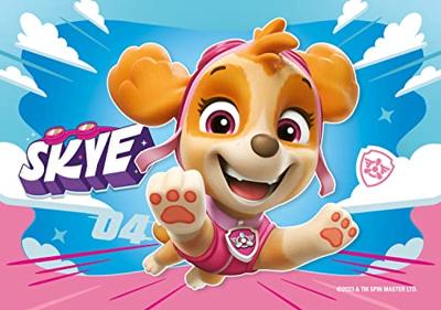 Ravensburger My First PAW Patrol puzzelset - 2 + 3 + 4 + 5 stukjes