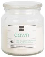 HEMA Geurkaars in glazen pot Ø9.5 blossom (transparant) - thumbnail