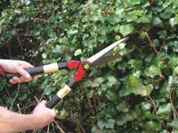 C.K G5010 Heggenschaar Handmatig - thumbnail