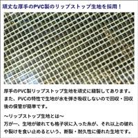 OCE10073 - LAAGANKER L - thumbnail