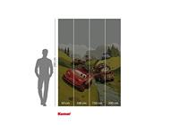 Komar Into Adventure Fotobehang Disney - Cars - Camping - IADX4-034 - thumbnail