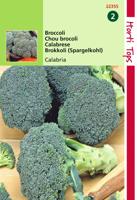 Zaden Broccoli Calabria Hortitops - Hortitops - thumbnail