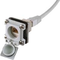 Telegärtner 100023156 STX V6 flens variant 6 Lichtgrijs 1 stuk(s) - thumbnail