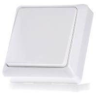 ELSO-toets 506204 42V/1A opbouw RENOVATIE rw Meerdere kleuren 1 stuk(s) - thumbnail