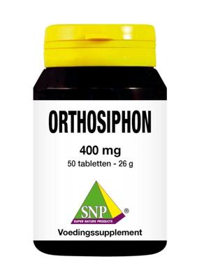 Orthosiphon Orthosiphon