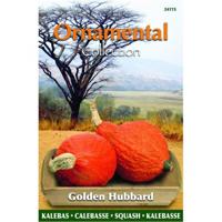 Zaden Ornamental Pompoen Golden Hubbard Buzzy - Buzzy - thumbnail