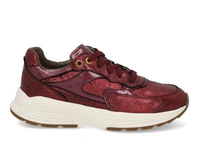 Xsensible Ponte Vecchio 33002.4 730 bordeaux bordo maat 42 Xsensible Ponte Vecchio 33002.4 730 bordeaux bordo maat 42