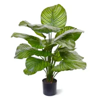 Calathea Fasciata 70 cm - Kunstplant - thumbnail