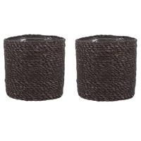 Mica mand atlantic bruin 16 cm | 18 stuks - thumbnail