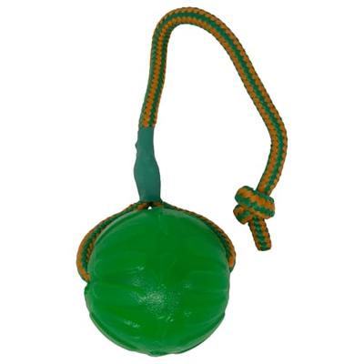 Starmark swing 'n fling chew bal aan koord