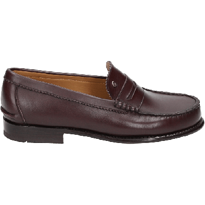 Greve 200 - alle Greve 200 - alle