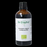 Cruydhof Artemisia vulgaris herb/bijvoet tinctuur bio 100 Milliliter - thumbnail
