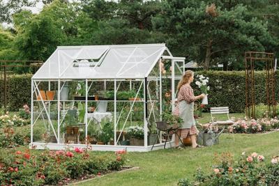 Royal Well Mary II aluminium tuinkas 212x291 cm wit- - Veiligheidsglas- Royal Well