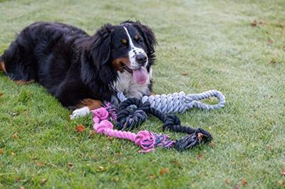 Trixie flostouw 3 knoop assorti