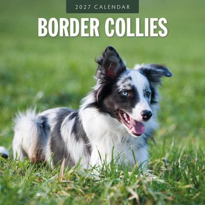 Border Collie Kalender 2027 Border Collie Kalender 2027