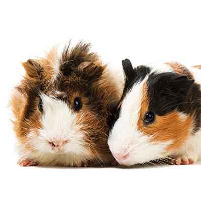 Beaphar Vitamine C - 180 st