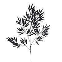 Kunstblad Bamboo Spray Mat Zwart 98cm - thumbnail