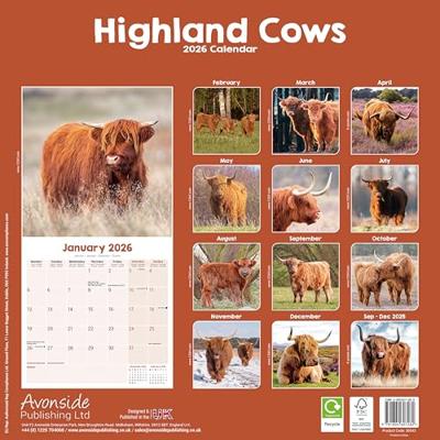 Schotse Hooglanders Kalender 2026