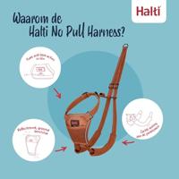 Hondentuigje Company of Animals BURNT Oranje 12 - thumbnail