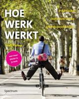 Hoe werk werkt - Jolet Plomp - ebook - thumbnail