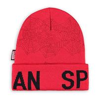 Marvel - Spider-Man - Men's Turn-up Beanie - thumbnail