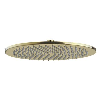 Caral hoofddouche rond 30 x 0,8 cm geborsteld messing
