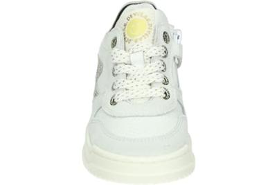 Develab 42890 - alle